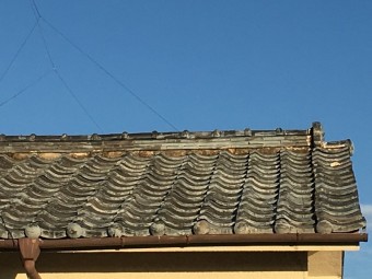 IMG_0394