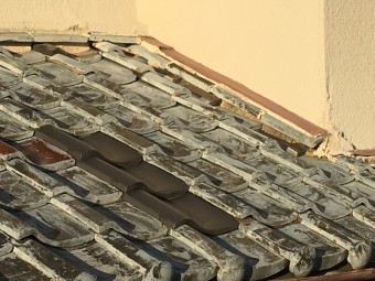 IMG_0398