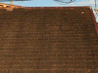 IMG_0404