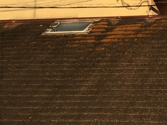 IMG_0405