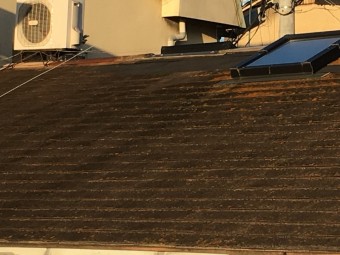IMG_0406