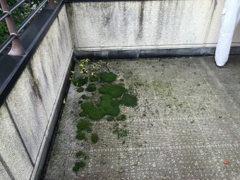 ドレンまわり