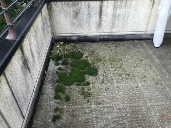 ドレンまわり