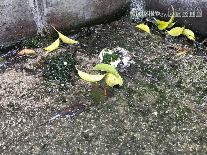 ドレンに泥が