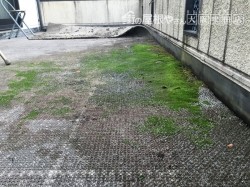 防水工事