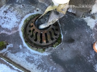 ドレン