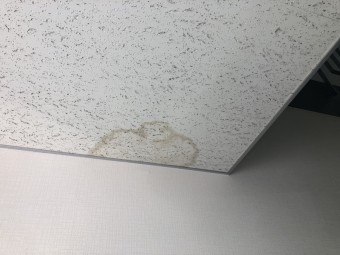 雨染み