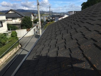 屋根