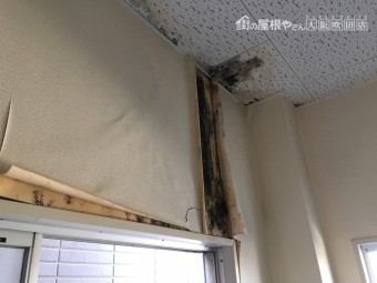 雨漏り