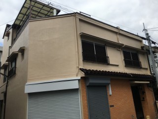 IMG_06351