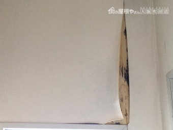 雨漏り