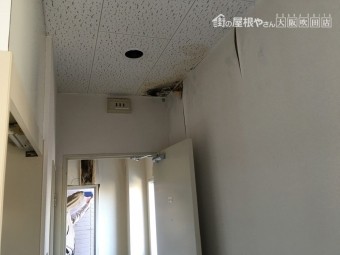 雨漏り