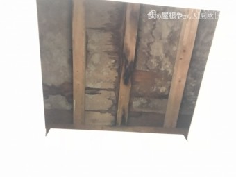 現地調査 屋根裏を調査