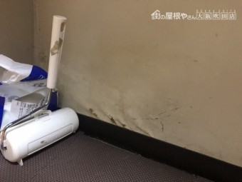 雨染み