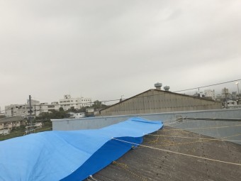 工場屋根ブルーシート養生