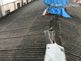 工場屋根ブルーシート養生