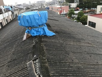 工場屋根ブルーシート養生