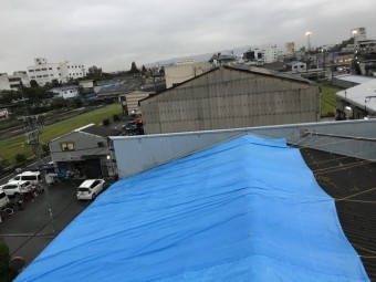 工場屋根ブルーシート養生