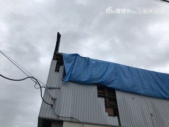 工場屋根ブルーシート養生