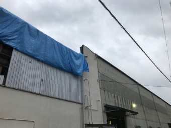 工場屋根ブルーシート養生