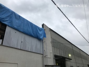 工場屋根ブルーシート養生