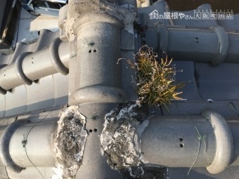 屋根瓦の漆喰剥がれと草が生えている様子