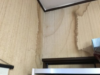 雨染み