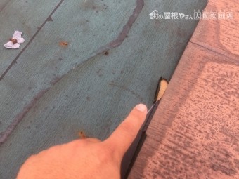 カラーベスト捲れ