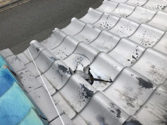台風で被災した瓦屋根