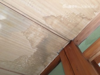 雨染み
