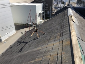 台風で落下したアンテナ