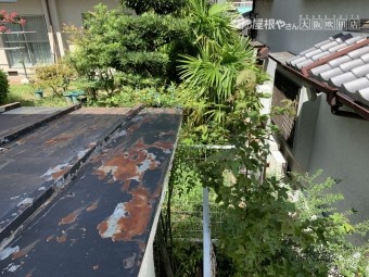 瓦棒屋根補修