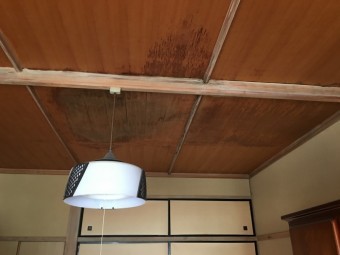 雨染み