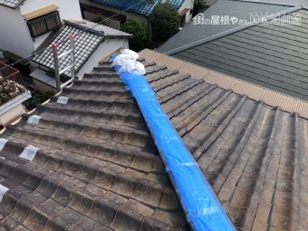 ブルーシートで養生した屋根の棟