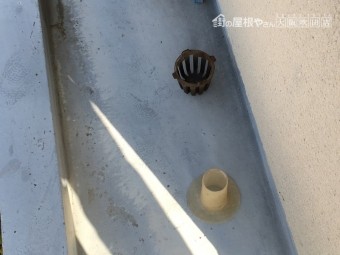 ドレン
