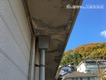 軒天