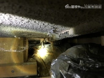 断熱材に雨水がたまる