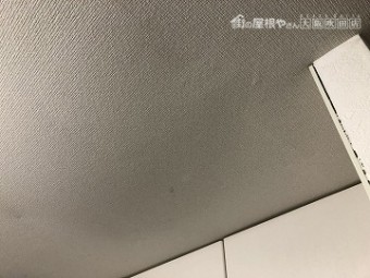 水漏れ天井部分