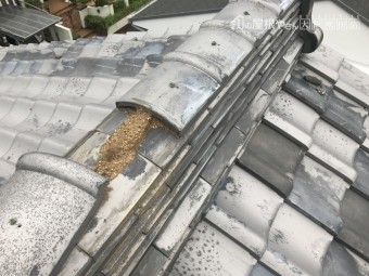 大棟の丸瓦熨斗瓦が崩壊