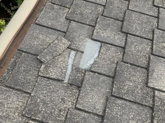 カラーベスト