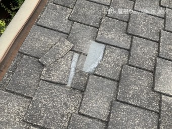 カラーベスト