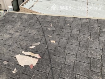 カラーベスト