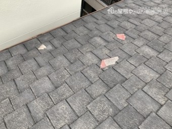 カラーベスト