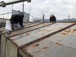 板金屋根
