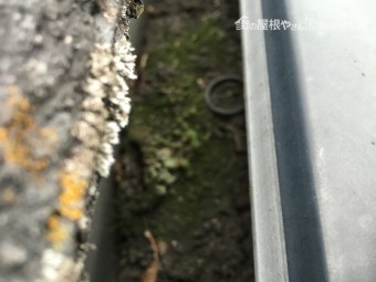自在ドレン