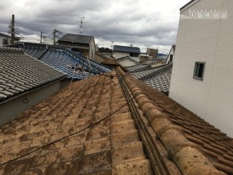 セメント瓦屋根