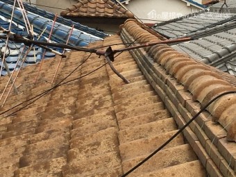 セメント瓦屋根