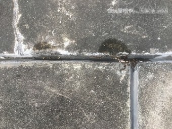 バルコニー防水