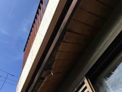 IMG_2455