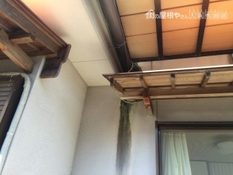 外壁の雨染み